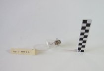 11 Tungsten Lamps for UV-Spectrophotometer